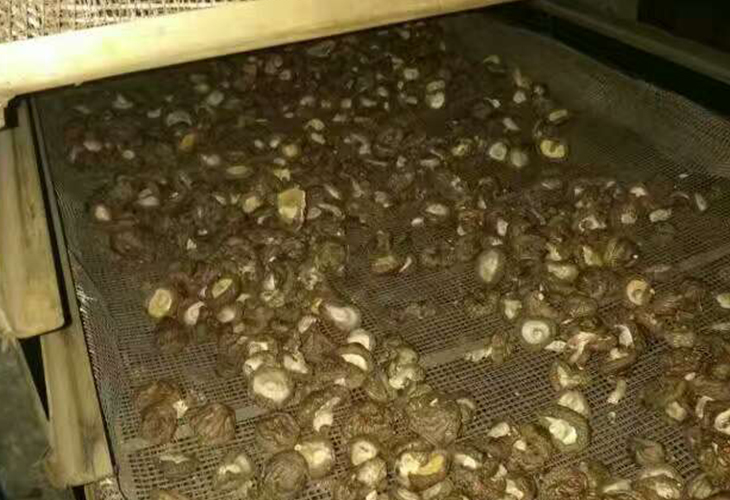 食用菌烘干機(jī)