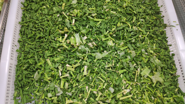 黃花菜烘干機(jī)價(jià)格