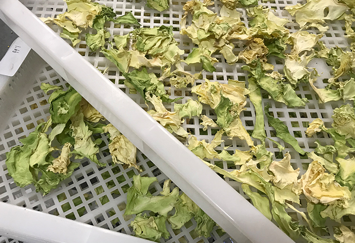 小型黃花菜烘干機(jī)