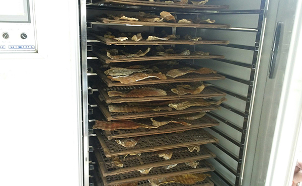 福建筍干