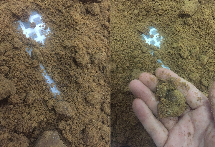 食品烘干機價格
