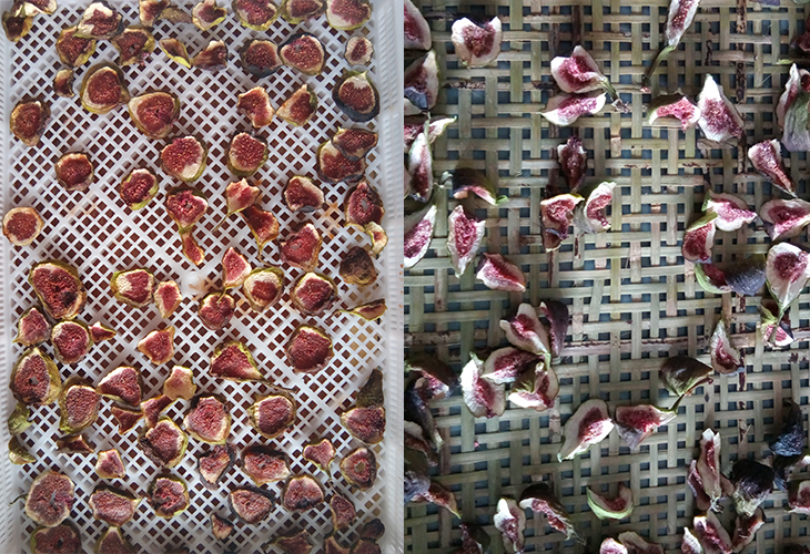 小型無花果烘干機(jī)