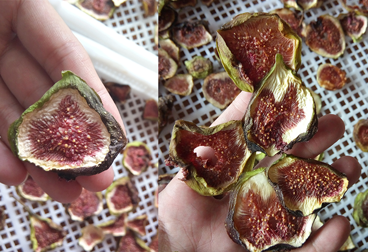 無花果烘干機(jī)價(jià)格