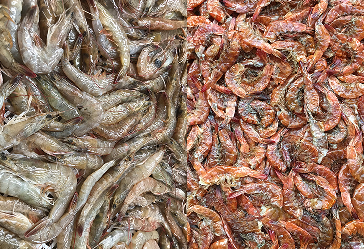 烘干機(jī)廠家