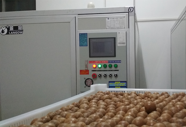 夏威夷果烘干機