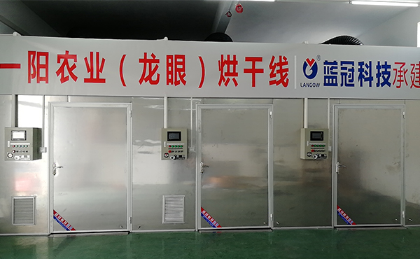 一陽農業科技的龍眼烘干