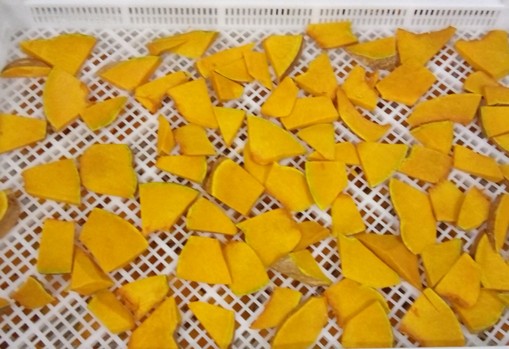 南瓜烘干機