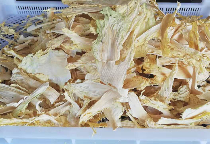食品烘干機