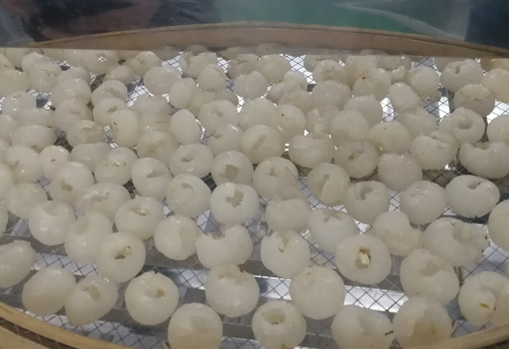桂圓烘干機(jī)