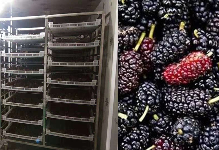 食品烘干機(jī)