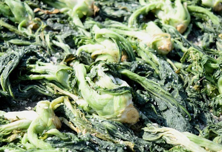 梅菜烘干機